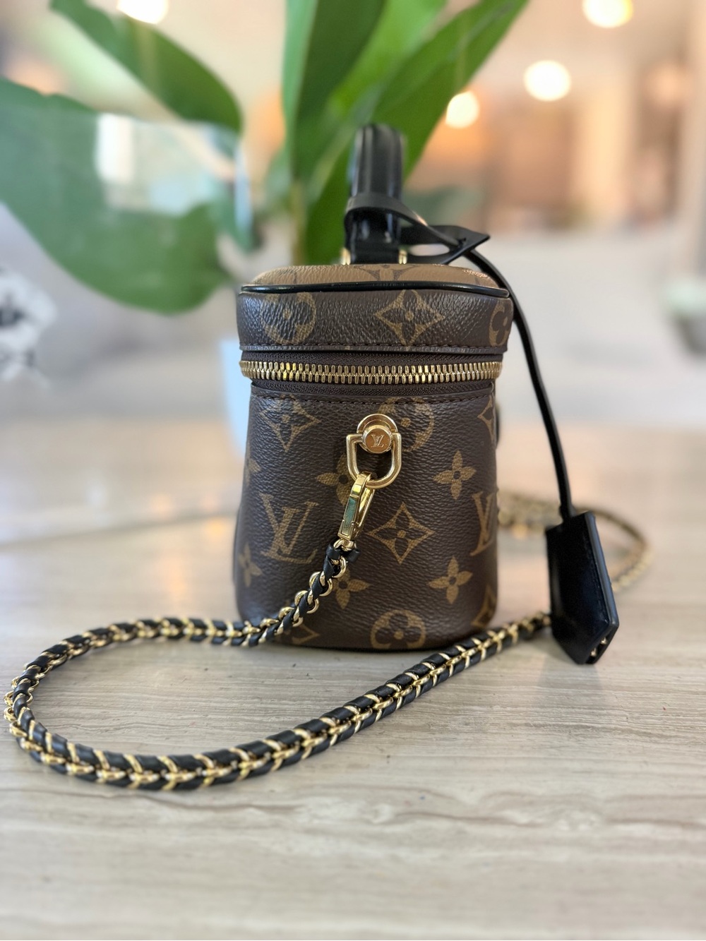 Louis Vuitton Reverse Monogram Vanity PM - Picture 4 of 14